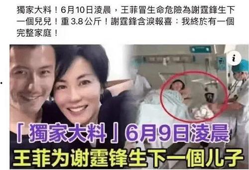 最新王菲爆料新闻,揭秘她不为人知的私生活细节  第2张